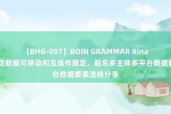 【BHG-007】BOIN GRAMMAR Rina 吴沈括：制定数据可移动和互操作规定，股东多主体多平台数据要素流转分享