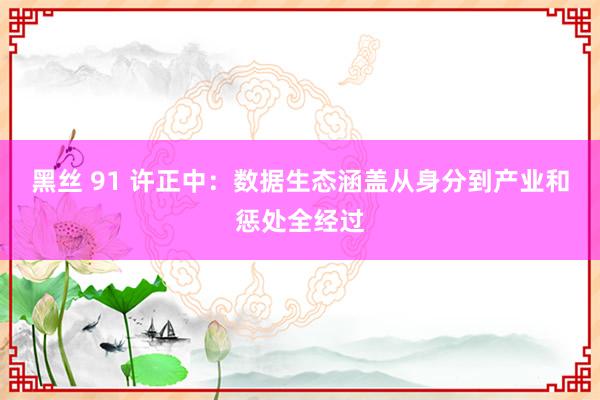 黑丝 91 许正中：数据生态涵盖从身分到产业和惩处全经过