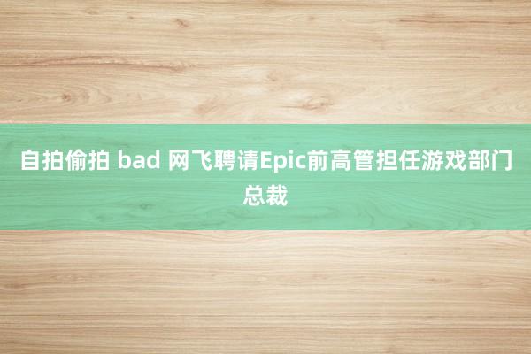 自拍偷拍 bad 网飞聘请Epic前高管担任游戏部门总裁